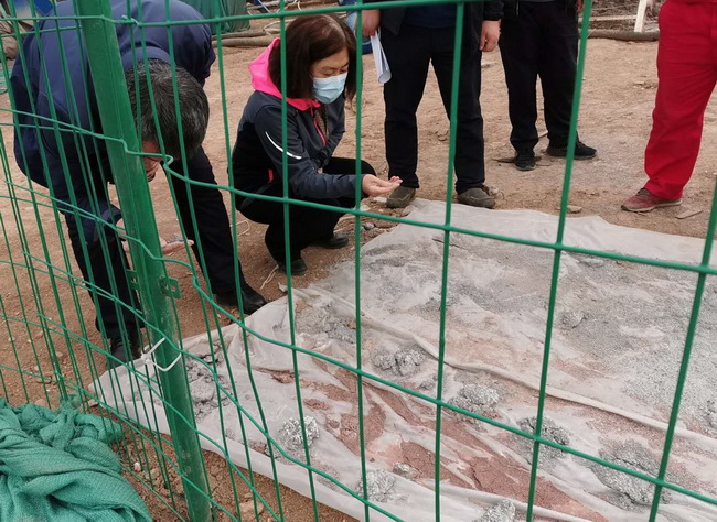 2 1_调整大小.jpg